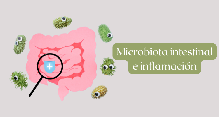 Microbiota Intestinal e inflamación